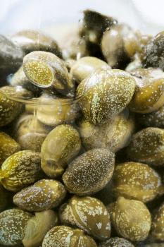 green pickled capers in brine close up in glass jar