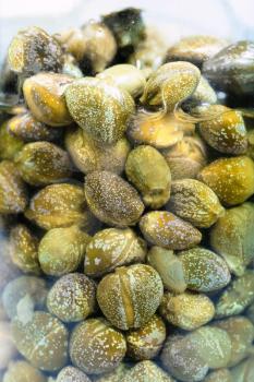 many pickled capers in brine close up in glass jar