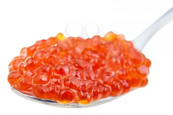 spoon with Sockeye salmon Red caviar isolated on white background