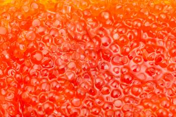 food background - blueback salmon fish salted red caviar close up