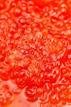 food background - sockeye salmon fish salted red caviar close up