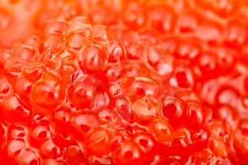 food background - sockeye salmon fish red caviar close up