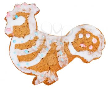 homemade Christmas festive glazed gingerbread cookie - cock figure cookie isolated on white background