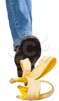 male right leg in jeans and brown shoe stepping on banana peel isolated on white background