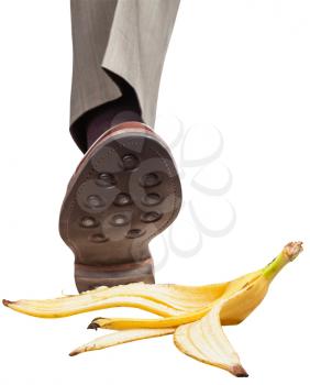 male leg in the right brown shoe stepping on banana peel isolated on white background