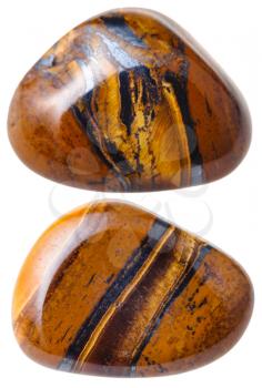 natural mineral gem stone - two Tiger's eye (Tigers eye, Tiger eye) gemstones isolated on white background close up