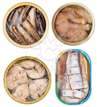 set on canned fish in open tins isolated on white background