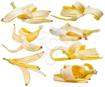 lot of peeled yellow bananas and banana skins isolated on white background