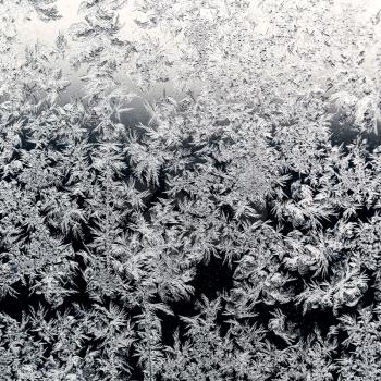 natural frozen pattern on windowpane in cold winter