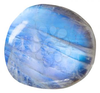 tumbled blue moonstone (adularia) natural mineral gem stone isolated on white background