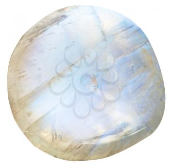 tumbled moonstone (adularia) natural mineral gem stone isolated on white background