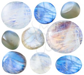 macro shooting of collection natural stones - various tumbled moonstone (adularia) gem stones isolated on white background