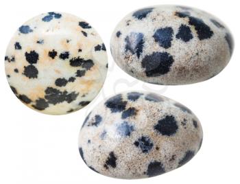 set of natural mineral gemstones - tumbled aplite (dalmatian jasper) natural mineral gem stones isolated on white background