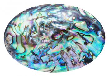 blue polished surface of nacre mollusk shell isolated on white background