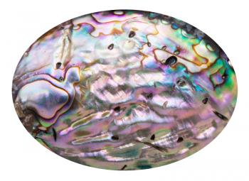 pink polished surface of nacre mollusk shell isolated on white background