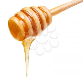 clear honey flows down from wooden stick close up isolated on white background