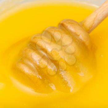 wooden honey stick (spoon) in yellow honey close up