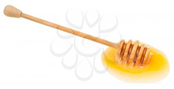 puddle of transparent honey and wooden stick isolated on white background