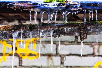 icicles on old gully of house with brick wall in sunny winter day