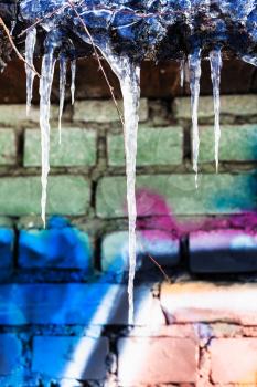 icicles on roof of building with painted brick wall in sunny winter day