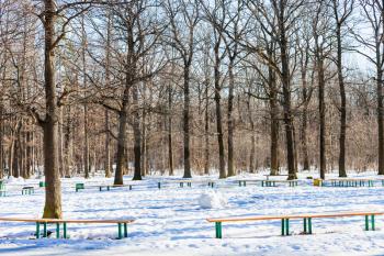 recreation area in oak tree grove of urban park in sunny winter day