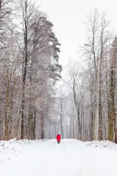 Woman walking along snow road under snowfall in winter forest