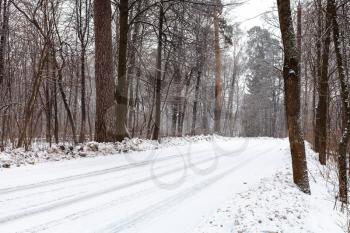 snow-covered country road in forest in winter day