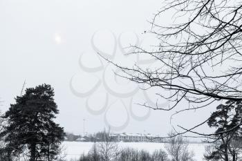 rural landscape - gray overcast sky over snow fields in winter