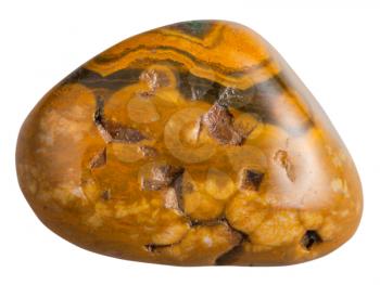 macro shooting of natural gemstone - polished leopard skin jasper mineral gem stone isolated on white background