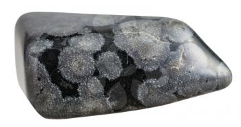 macro shooting of natural gemstone - polished Variolite mineral gem stone isolated on white background
