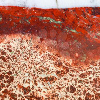 square natural texture background - polished surface of brecciated jasper mineral gem stone close up