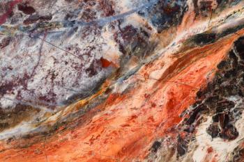 natural texture background - polished surface of picture jasper mineral gemstone close up