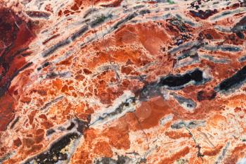natural background - texture of red brecciated jasper mineral gem stone close up