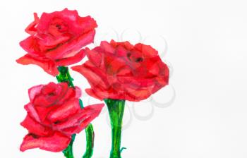 hand drawing - three red roses on green stems painted by felt pen on white paper