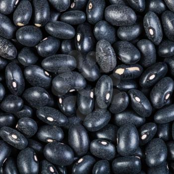 square food background - many raw Black turtle beans close up