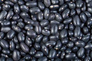 food background - many raw Black turtle beans