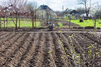 plowed vegetable beds and tiller in village in spring