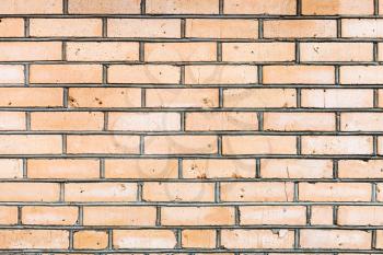 textured background - wall from yellow bricks