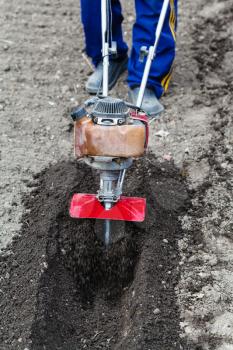 planting vegetables in garden - farmer prepares soil in garden for seeding by tiller in spring