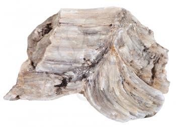macro shooting of natural mineral stone - piece of raw Baryte (barite) rock isolated on white background