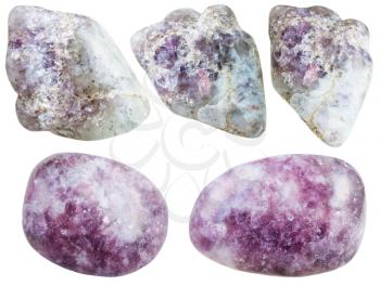 set of various lepidolite natural mineral stones and gemstones isolated on white background