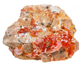 macro shooting of natural mineral stone - druse of red vanadinite crystals (vanadium ore) on rock isolated on white background