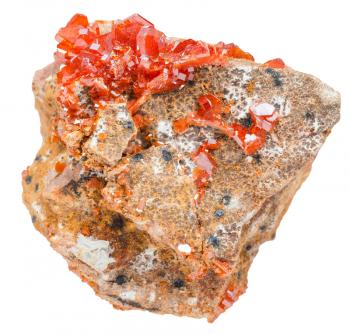 macro shooting of natural mineral stone - red vanadinite crystals (vanadium ore) on rock isolated on white background