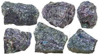 set of bornite mineral stones (peacock copper ore) isolated on white background