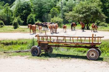 rural landscape with herd of horses and wooden cart in low mountains near Shapsugskaya village in the North Caucasus region in sunny summer day