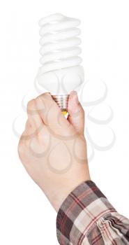 hand holds compact fluorescent lamp isolated on white background