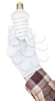 hand in shirt and textile glove holds compact fluorescent lamp isolated on white background