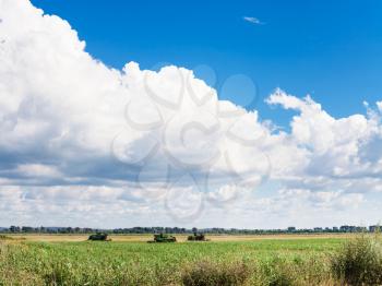 landscape with agrarian field and blue sky with white clouds in summer season Kuban, Russia