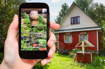 gardening concept - gardener photographs of fence of country house on smartphone