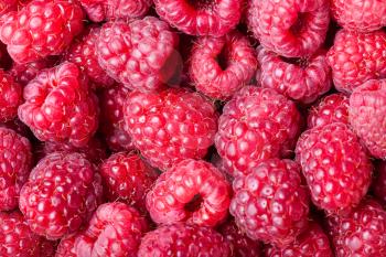 food background - many berries of ripe raspberry close up